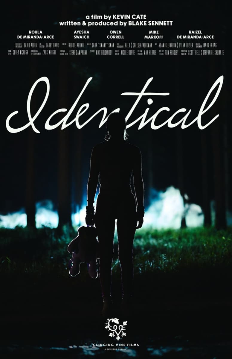 Identical poster