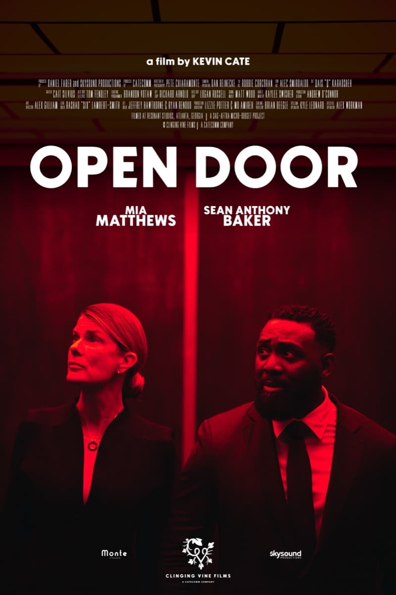 Open Door poster